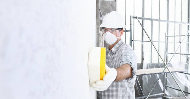 Best Biohazard Mold Removal  in Homer, IL